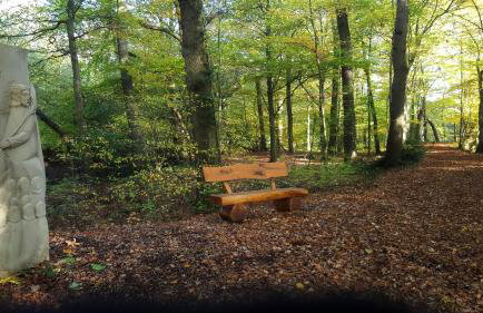 FeWo Grafschaft - Foto 34