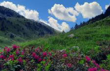 Appartement Le cocon Mont louis 66 - Photo 10