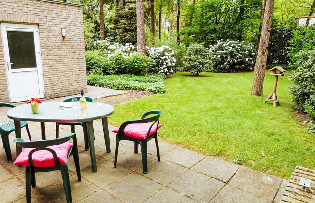 2 bedroom House in Lochem with garden and terrace - Photo 4