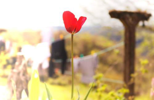 Le Gîte des Cimes - Foto 70