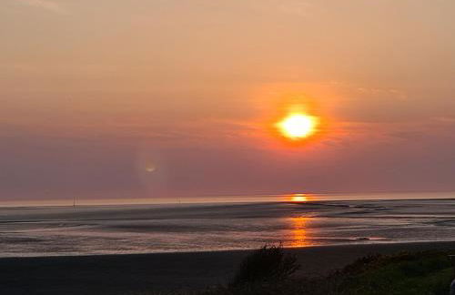 Dolphin House - Foto 42