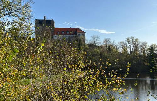 Ferienwohnung Bertchen - barrierefrei mit Südterrasse und Carport in ruhiger Altstadtlage von Ballenstedt - Foto 33