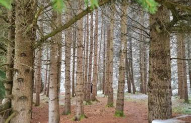 Ferienwohnung im alten Milchwerk - Foto 17
