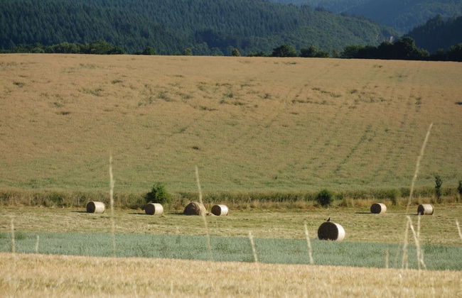 Apartment in Merschbach With Garden - Foto 25