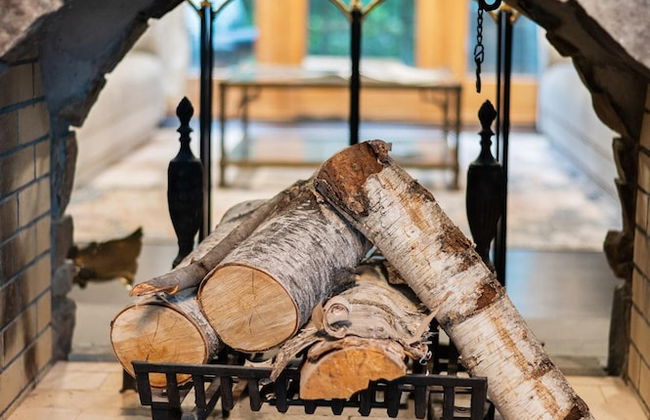 Art Deco Catskill Est w Epic Views - Foto 17