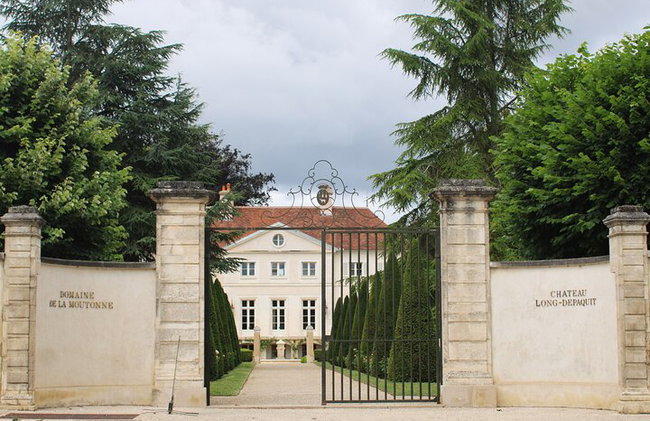 "Dégustation de vins à Chablis, au cœur de l'excellence !" - Photo 2