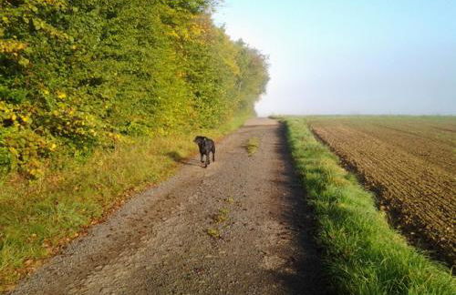 Eifelland-Ferien - Foto 33