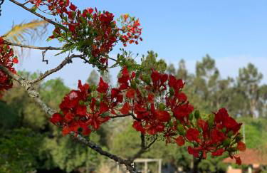 Chácara Santo Antonio - Foto 41