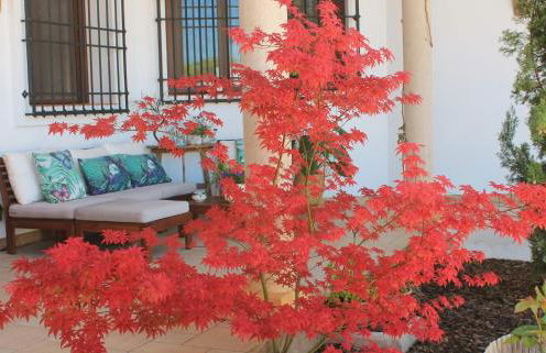 Insula Barataria - Foto 24