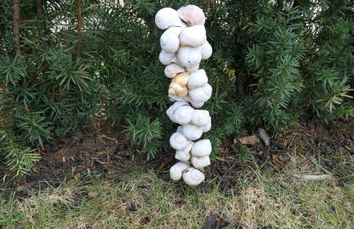 Ferienwohnung Schneckenhaus - Foto 21