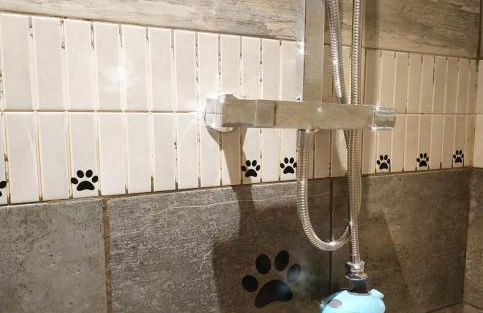 dog friendly nancecliff cottages - Foto 28