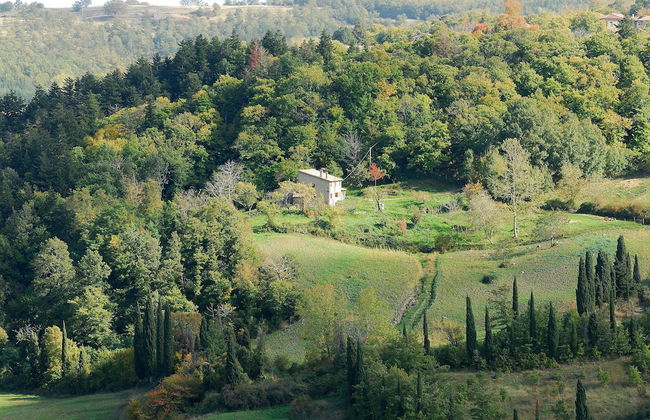 - Agriturismo La Piaggia - Forest View Apartment on the Ground Floor 2 Guests - Foto 19