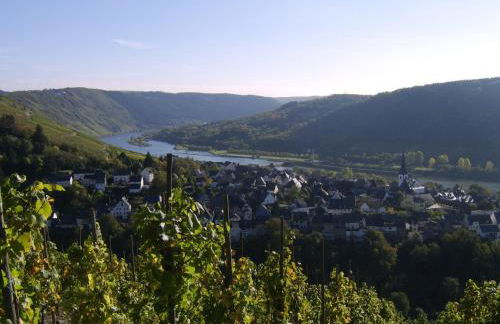 Weingut Matthias Dauns - Foto 32