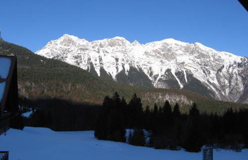 Fiore del Brenta 1 a 50 m dalla fermata dello skibus gratuito - Foto 6