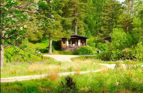 Star Lodges - Photo 1