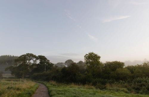 Clementine - Photo 22