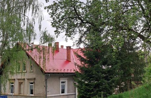 Przy pałacu - Foto 2