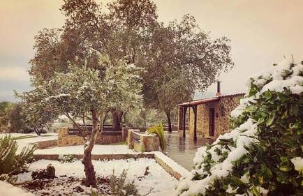 Casa Rural con skatepark y piscina " La Quijada del Lobo " - Foto 73