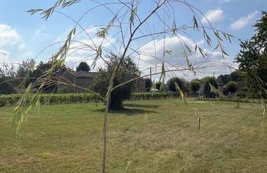 Gite Vigne - stay on a vineyard, overlooking the vines in this 2 bedroomed gite - Foto 9