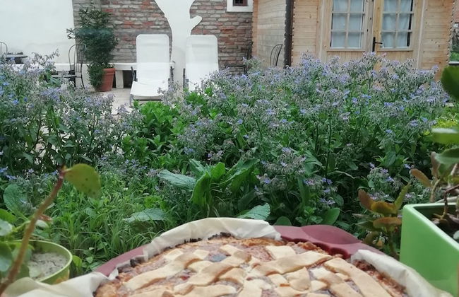 B&B Ciliegio Felice - Foto 38