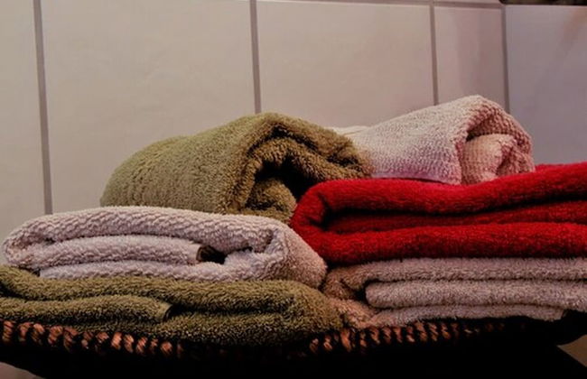 Ferienhof Stärk - Foto 13