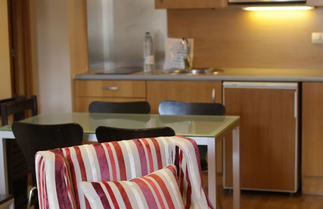 Aparthotel Siente Boí & Spa - Photo 26