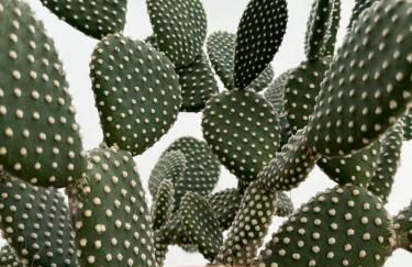 MiMì House - Foto 25