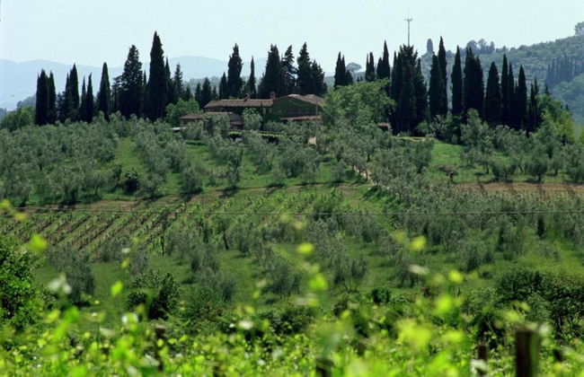 Charming Vineyard Escape - Foto 37