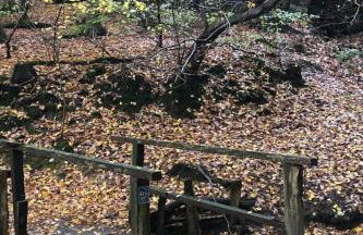 Apartment Gartenblick by Interhome - Foto 35