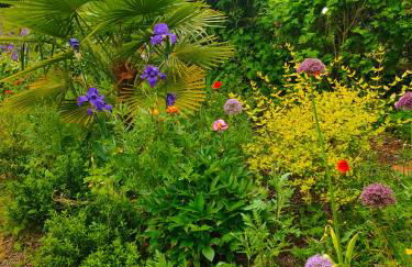 La Maison des oliviers - Foto 39