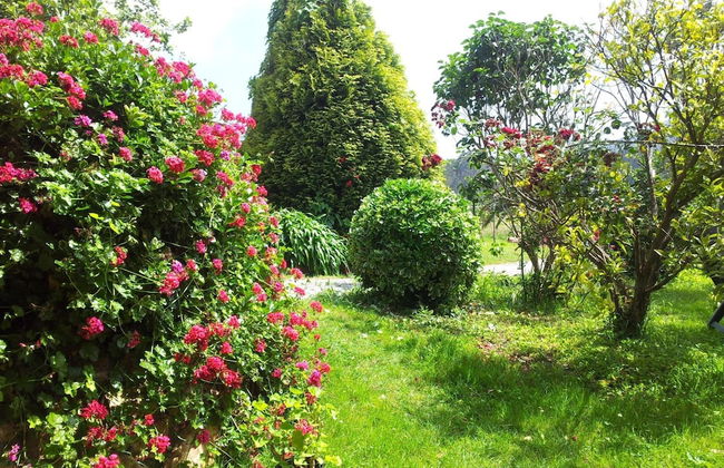 Casa Brais - Photo 32