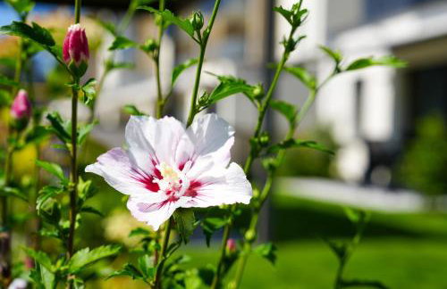 101-freiburg - Photo 19