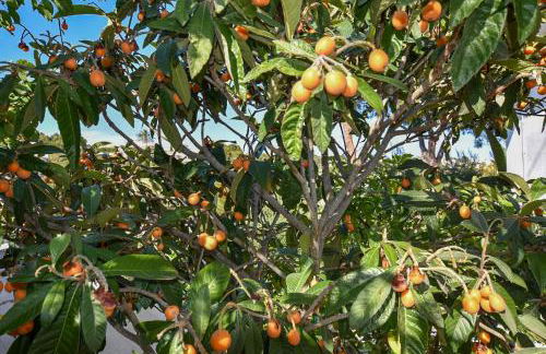 Villa La Buena Vida - Foto 33