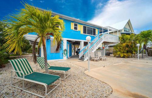 Reel Paradise - Foto 29