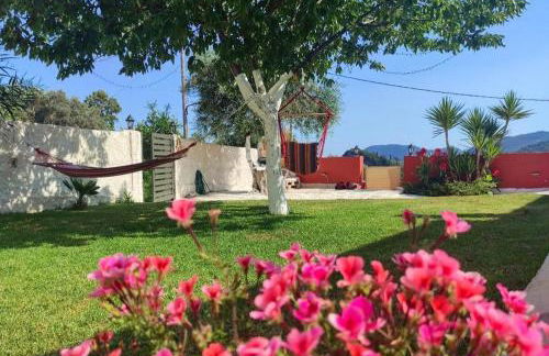 Stella Rossa - Foto 68