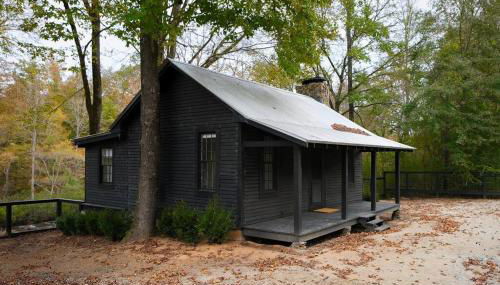 Meadows Mill House III - Foto 4, Garden, Garden view