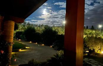 Spa& Resort Casa Grazia - Photo 15