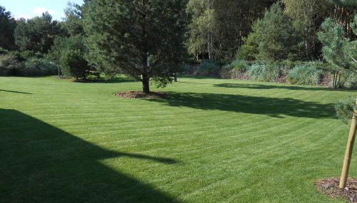 5 Sterne Luxusdomizil im Dünenland - Foto 3