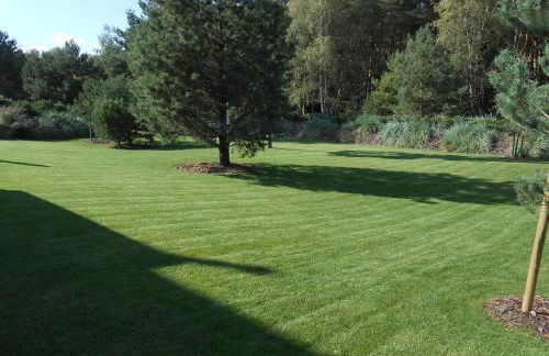 5 Sterne Luxusdomizil im Dünenland - Foto 3