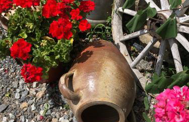 Pinabre Rose Cottage - Foto 9