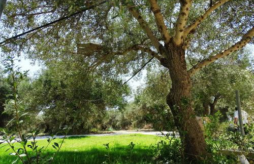 Lyrids Apartments - Photo 80