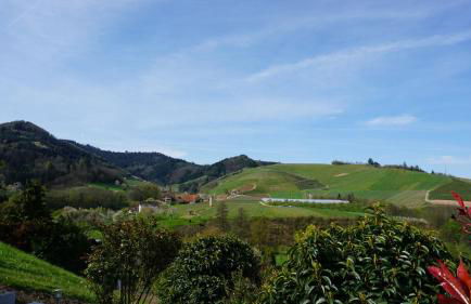 Ferienwohnung Anna Durbach - Foto 6