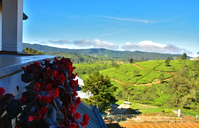 Villa Mount Royal - Photo 73