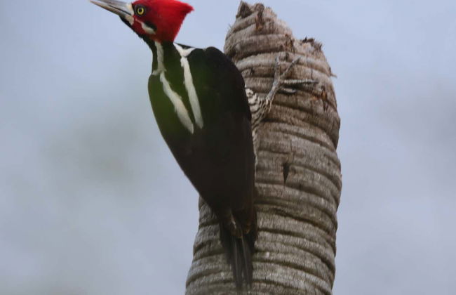 Arroyos y Esteros Private Day Trip - Foto 4