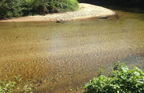 Beach house surrounded by lush nature - Foto 17