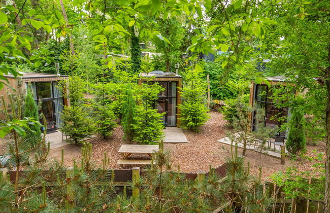 House in Belfeld with swimming pool and terrace - Photo 26