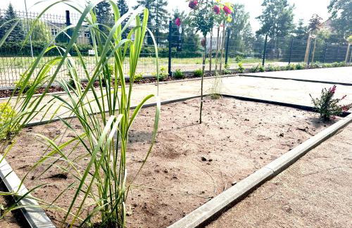 Domy wakacyjne WELLE - Foto 22