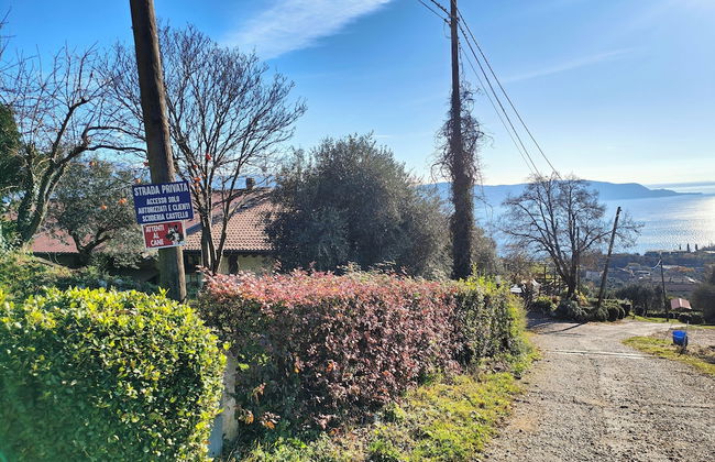 Agriturismo Scuderia Castello - Foto 57