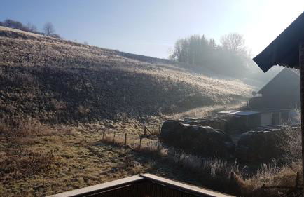 Ferienwohnung Müller - Foto 11