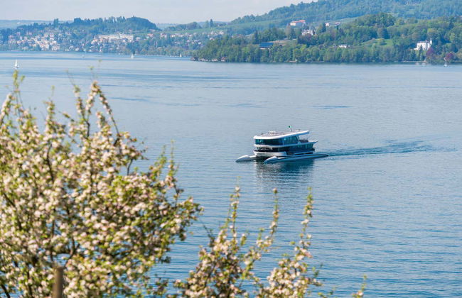 Lake Lucerne Boat Tour - Photo 3